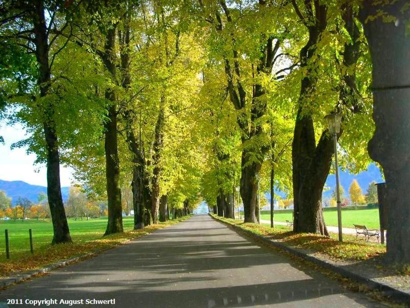 Hotel Krone Mondsee Luaran gambar